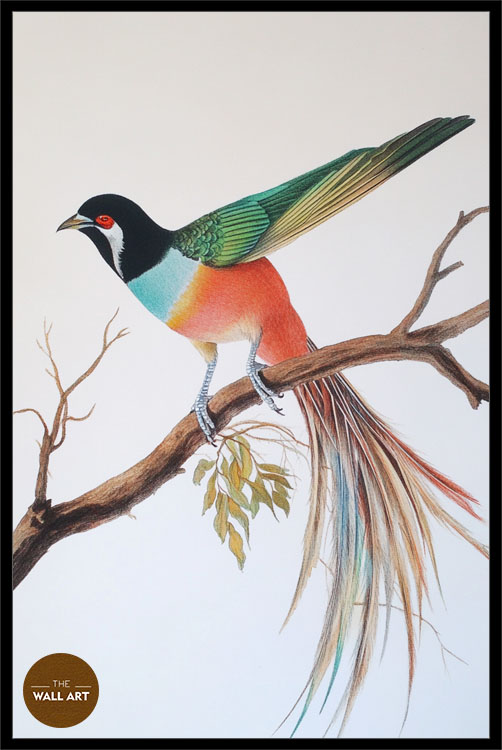 images/products/raindow_long_tail_bird/RAINDOW_LONG TAIL BIRD_BLACK_P.jpg